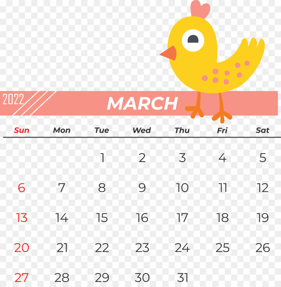 Календарь，Клюв PNG
