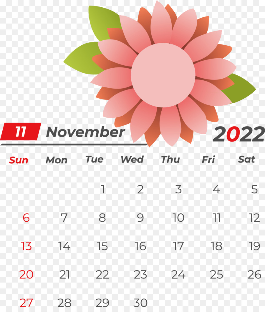 цветок，Календарь PNG