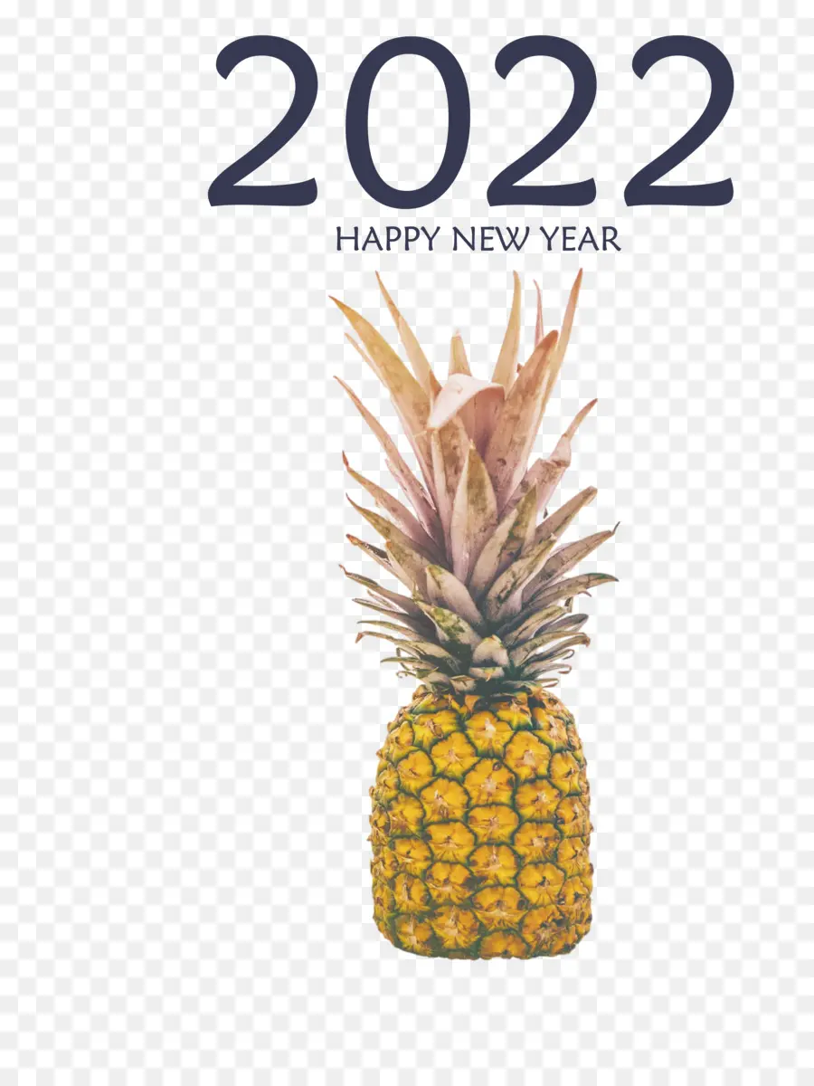 Новый год，New Years Day PNG