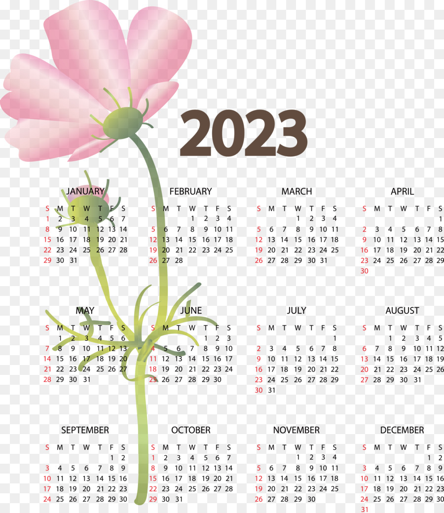 Календарь，июня PNG