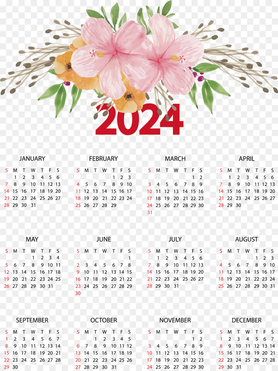 Календарь. Календарь по месяцам. Календарь популярный. Календарь 2024 года по месяцам красивый. Календарь на май июнь 2024 года