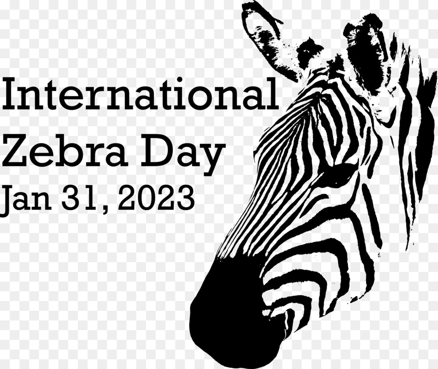 Международный день зебры， PNG