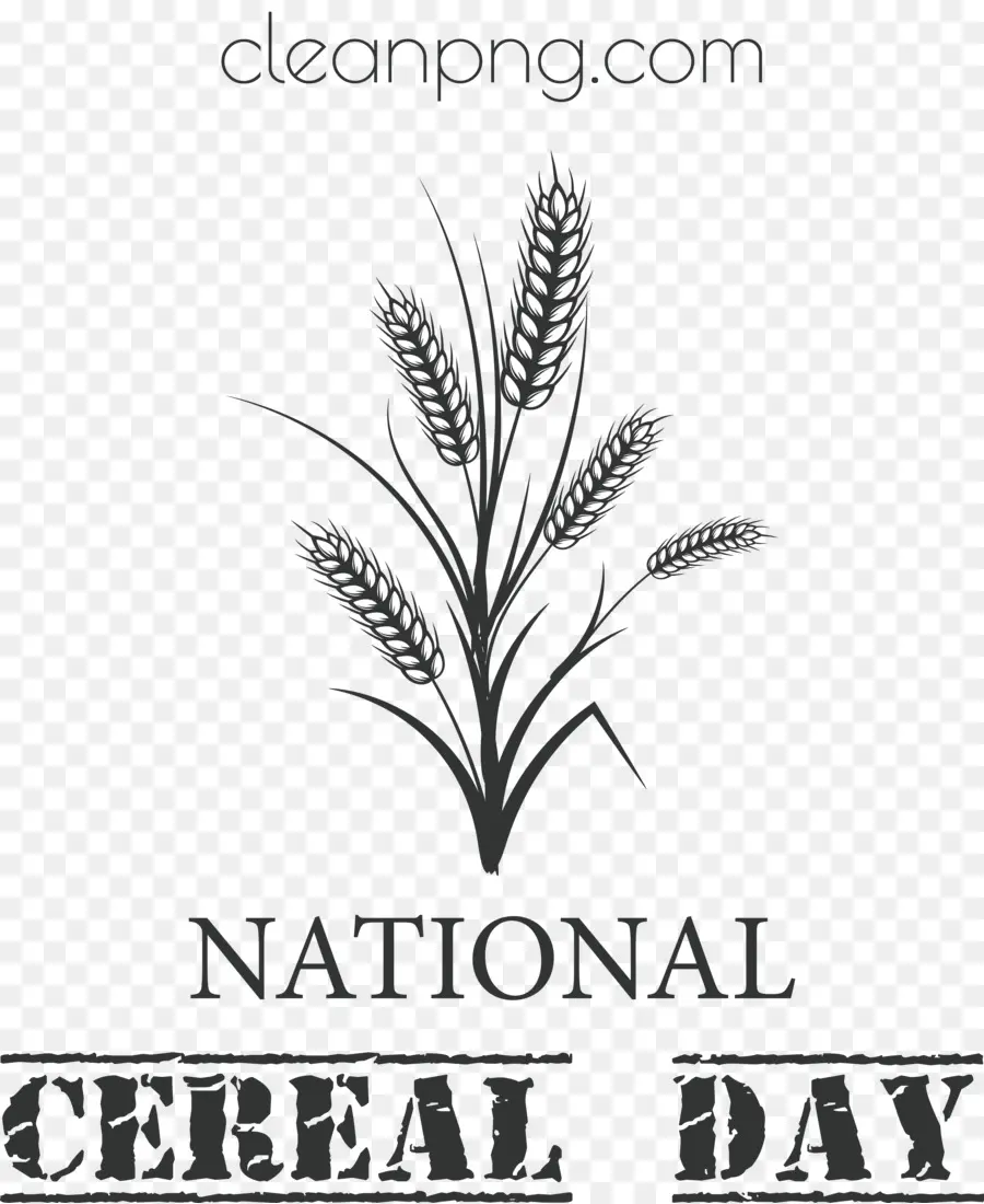 Национальный день зерновых，День зерновых PNG