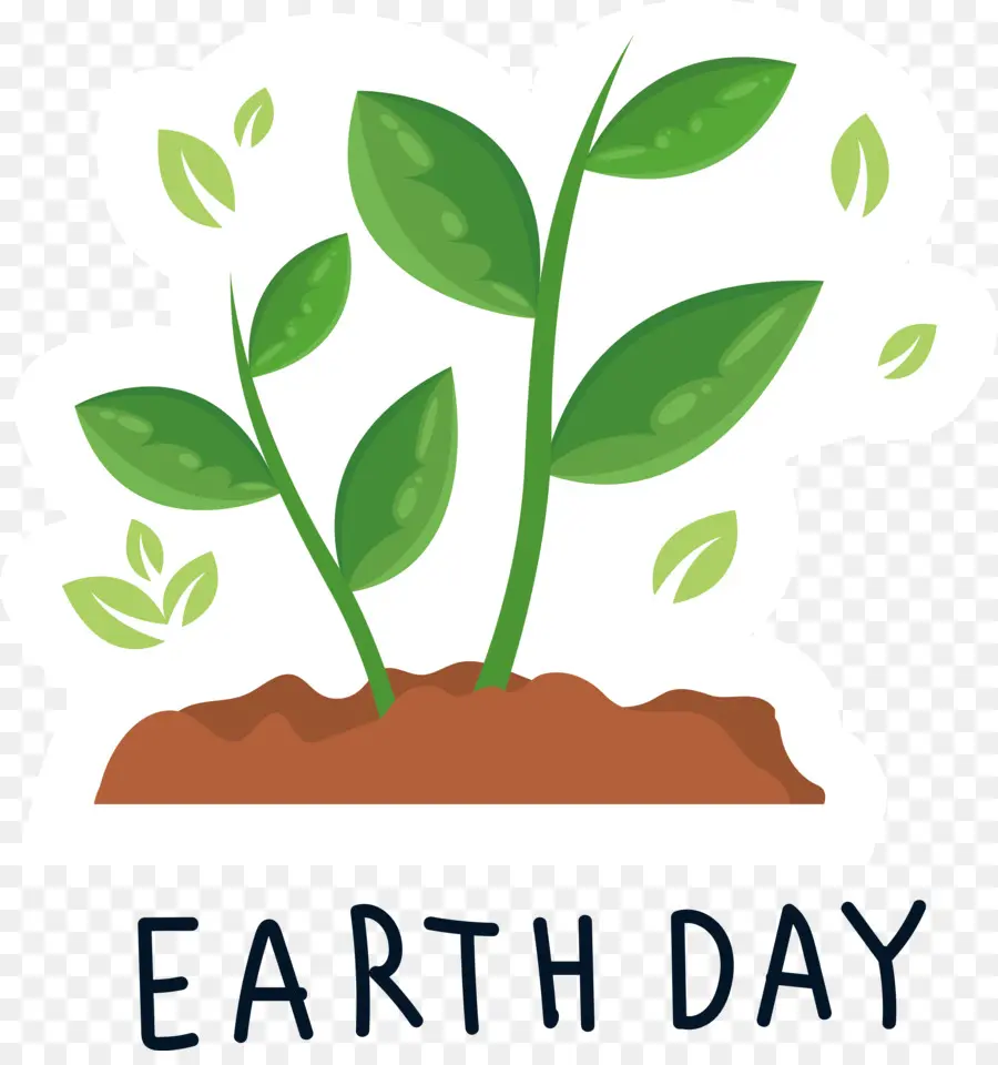 день Земли，дерево завод PNG