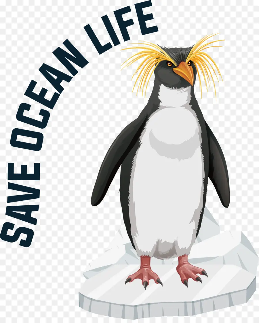 Спасите океан，Всемирный день океанов PNG