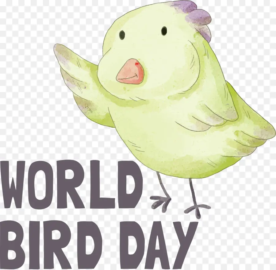 Международный день птиц，день птиц PNG