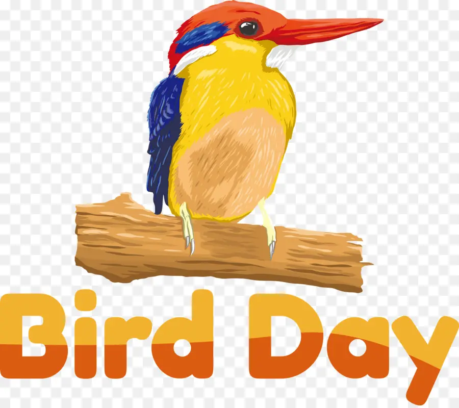 Международный день птиц，день птиц PNG