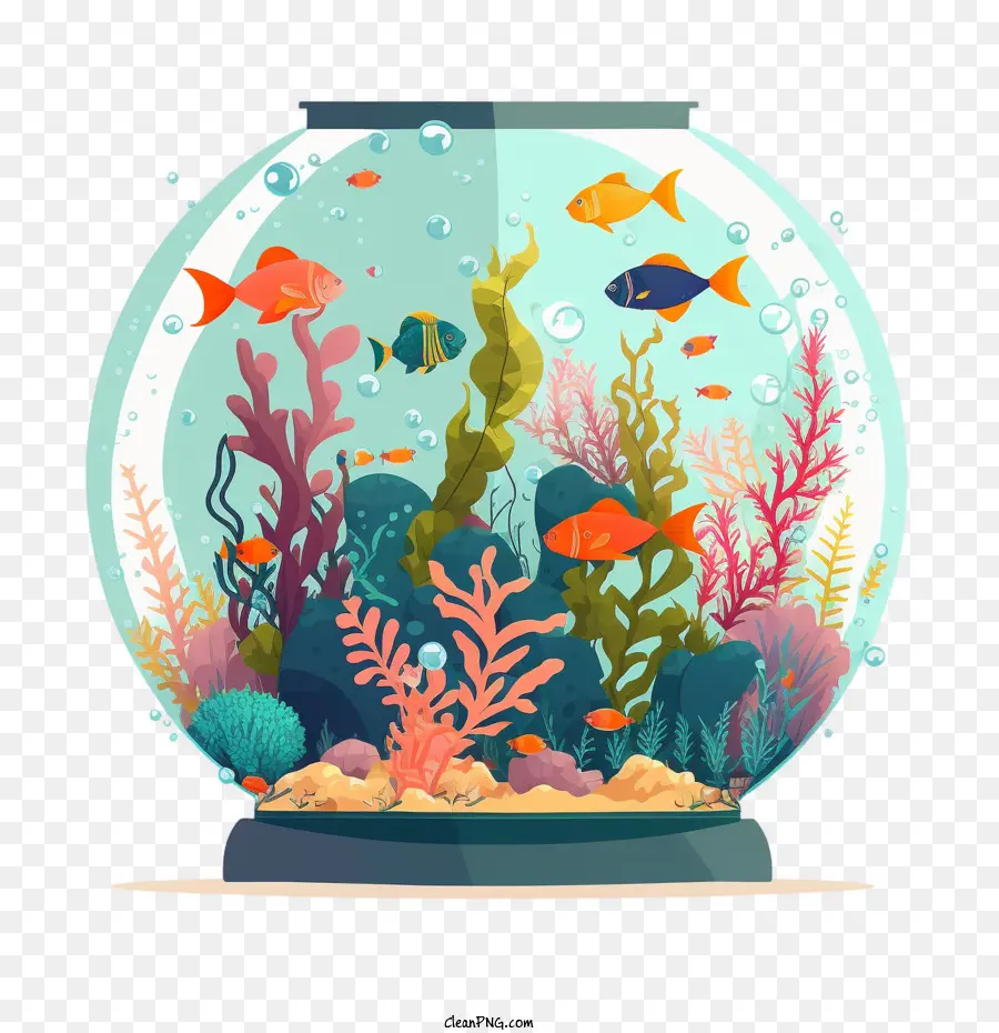 красочная рыба，Аквариум PNG