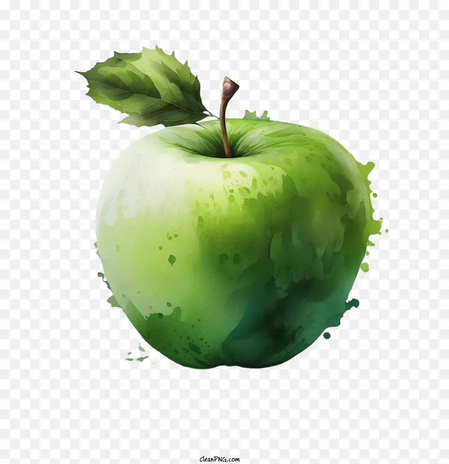 акварелью яблока，Реалистичное яблоко PNG