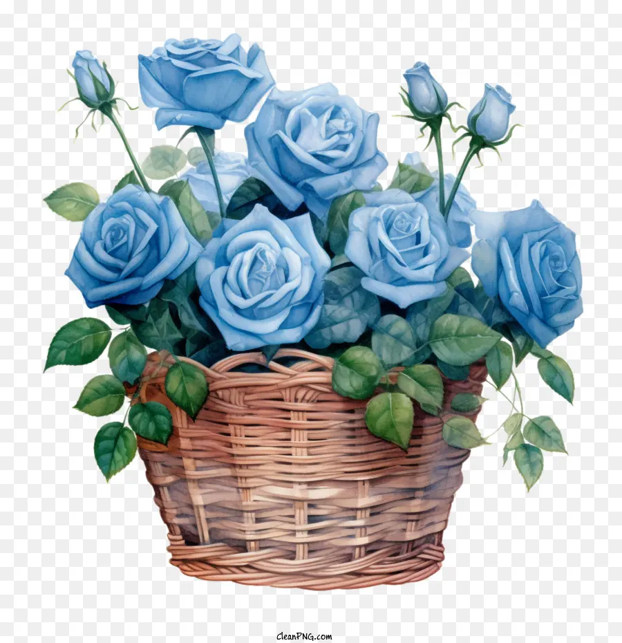 Акварельная синяя роза，розовые цветы в корзине PNG