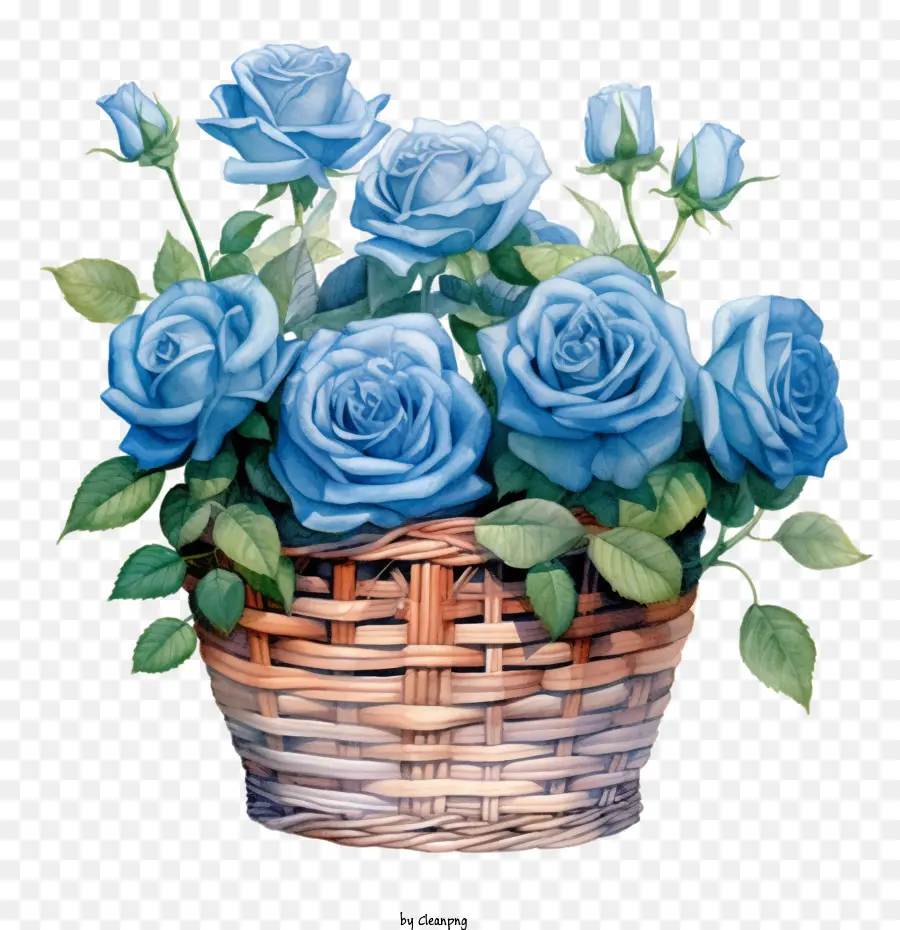 Акварельная синяя роза，розовые цветы в корзине PNG
