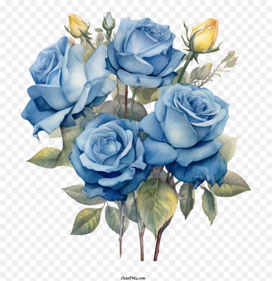 Акварельная синяя роза，Голубая роза PNG