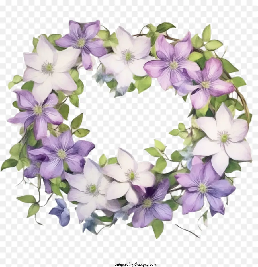 Акварельный цветок Клематиса，Клематис Цветок PNG