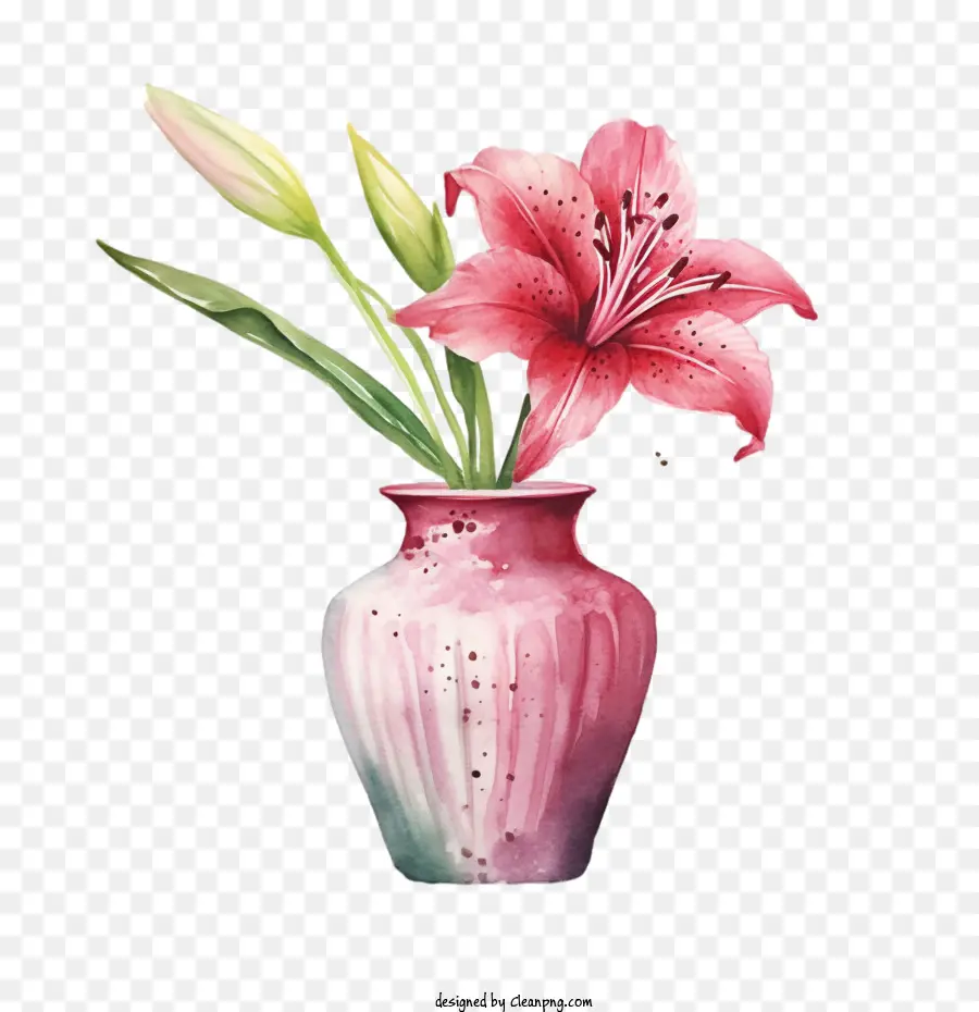 цветок лилии，Розовый цветок лилии PNG