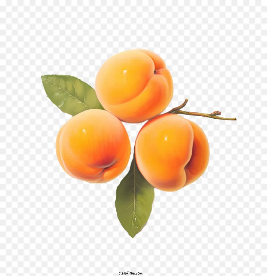 Абрикосы фрукты，персики PNG