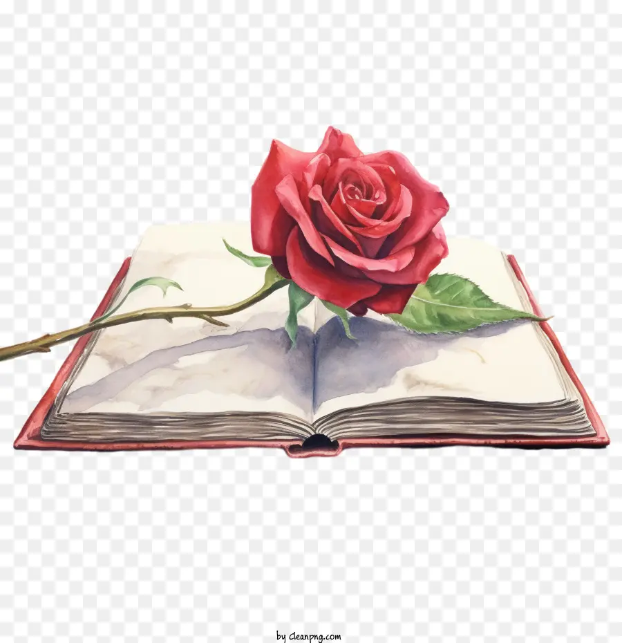 красная роза，открытая книга PNG