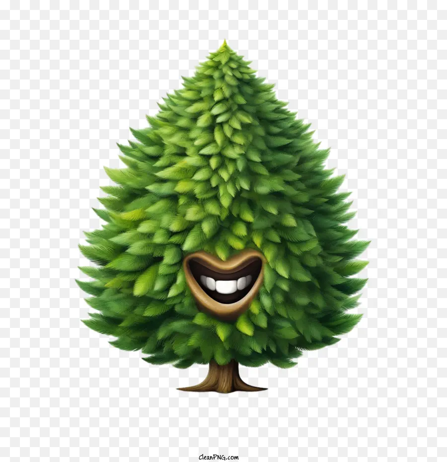 вечнозеленое дерево，счастливый дерево PNG