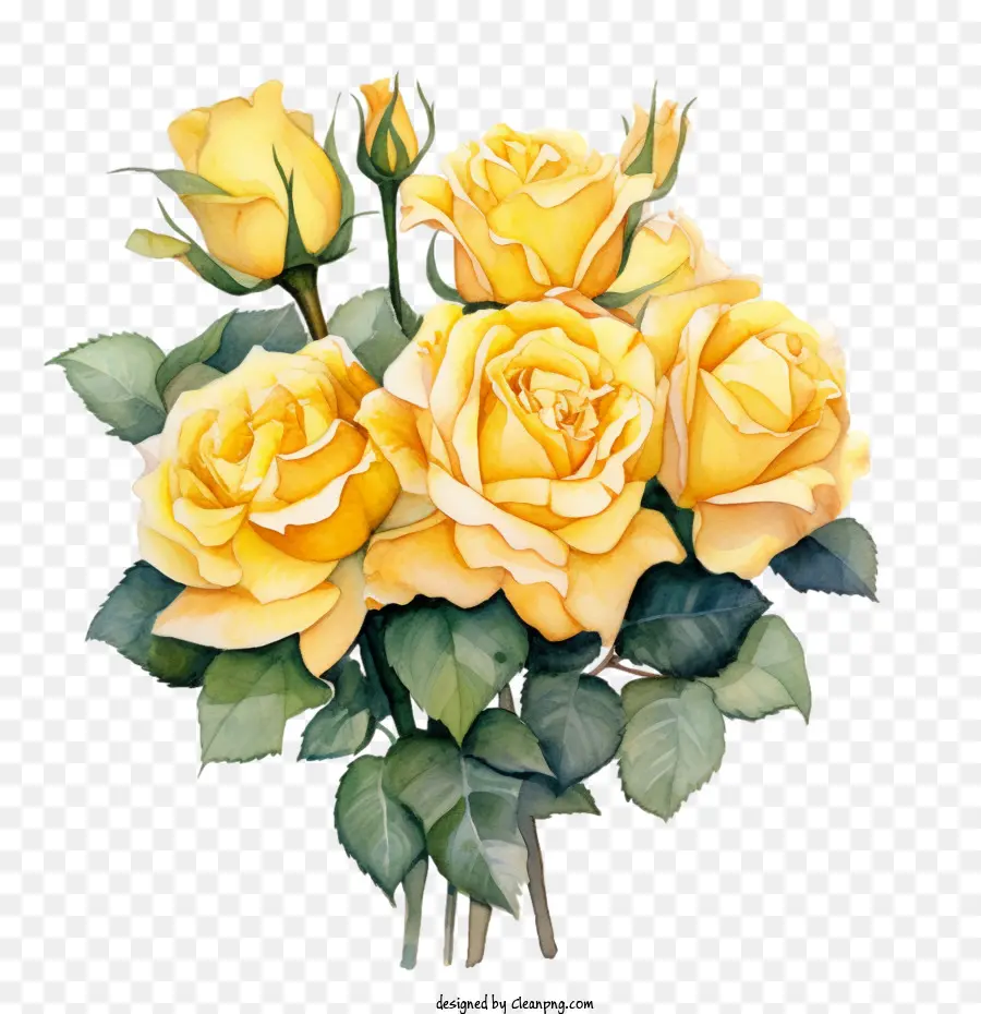 желтая роза，Розы PNG