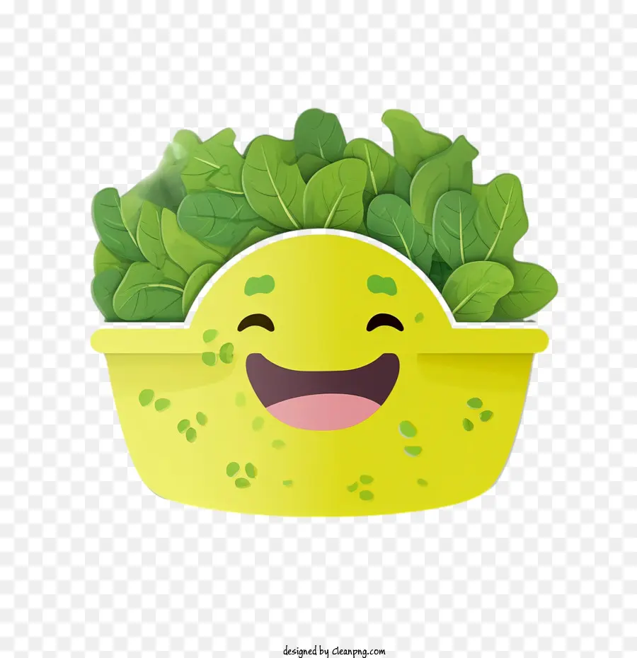 Зеленый салат， PNG