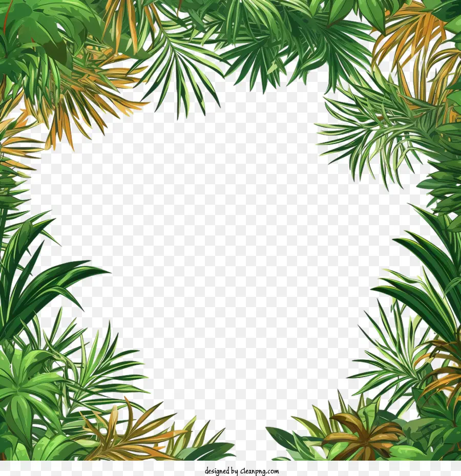пальму，рамка пальмы PNG