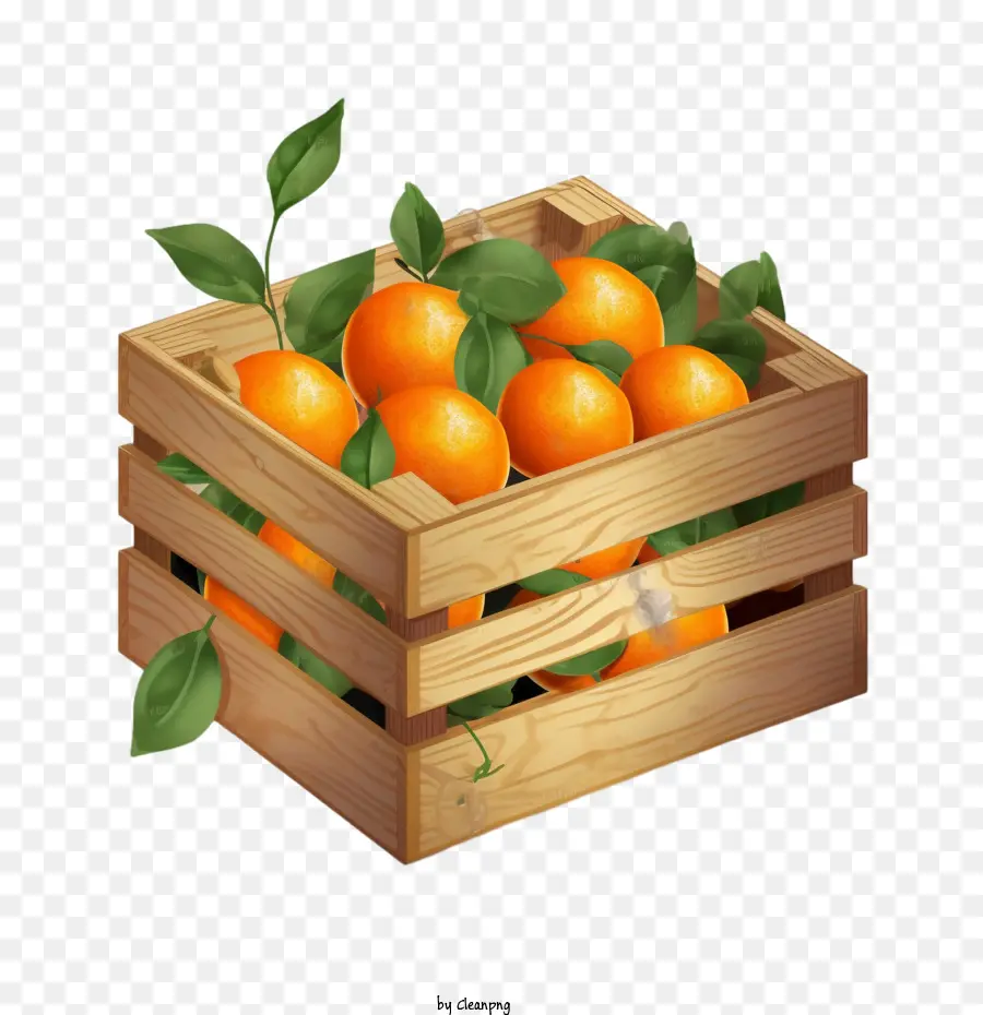 Мандарины фрукты，апельсины PNG