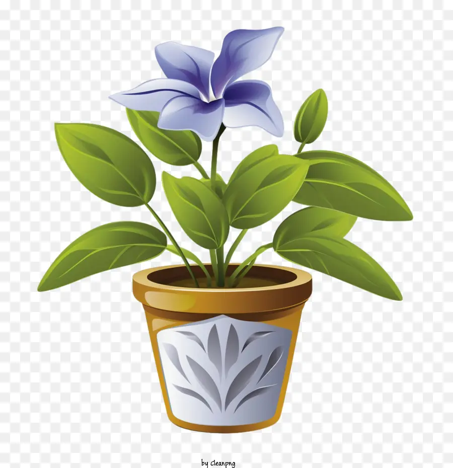цветок барвинка，горшечные растения PNG