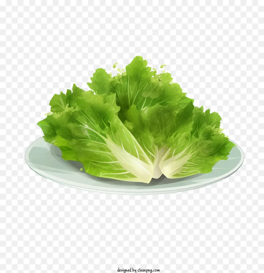 Китайская капуста，Lettuce PNG