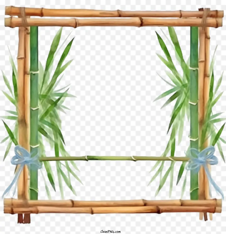 бамбук кадр，бамбук декор PNG