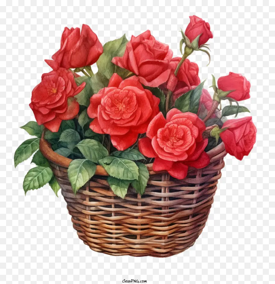 красная роза，розовая корзина PNG