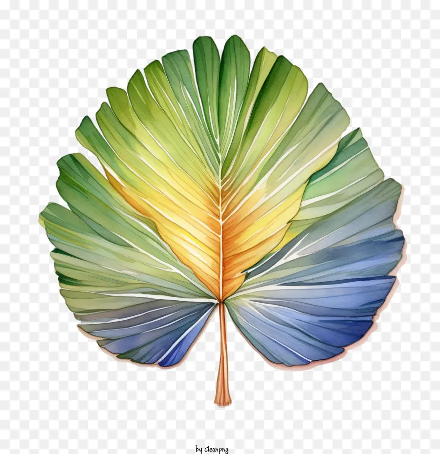 пальмовый лист，Лист PNG