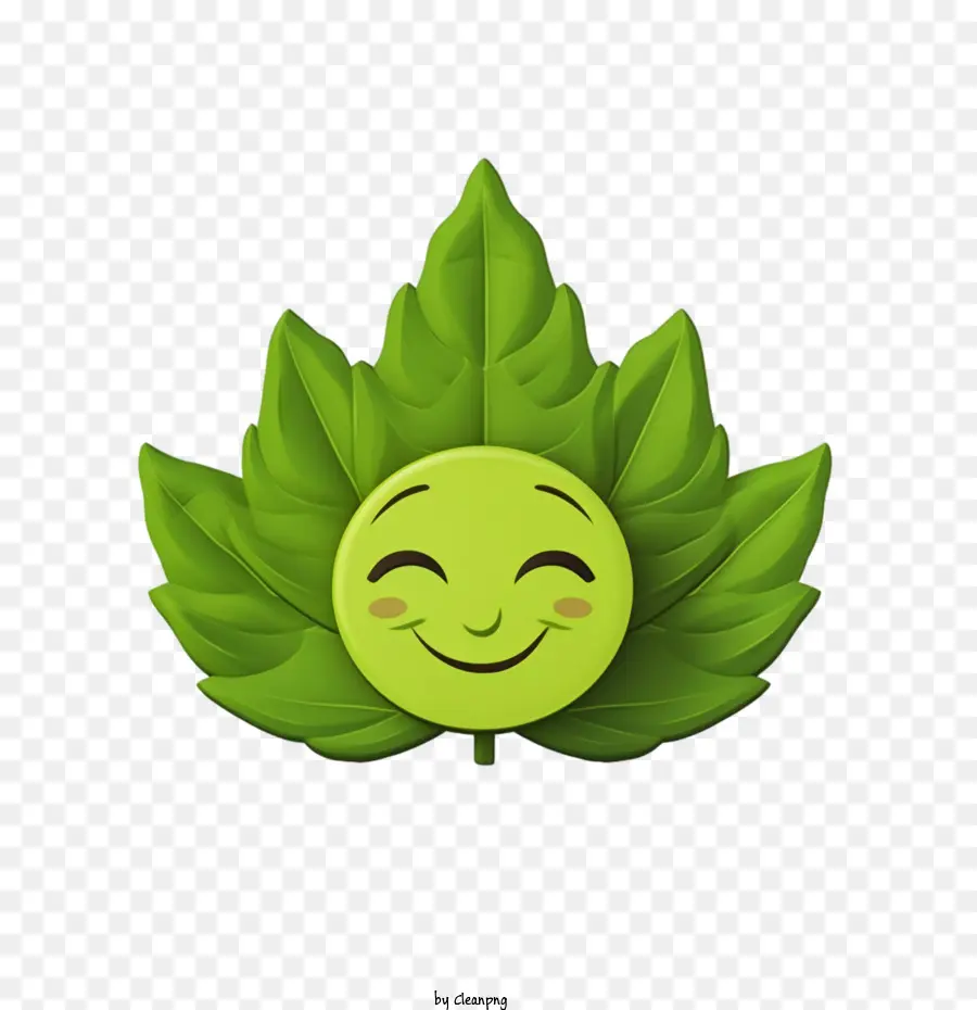 зеленый лист，улыбка PNG