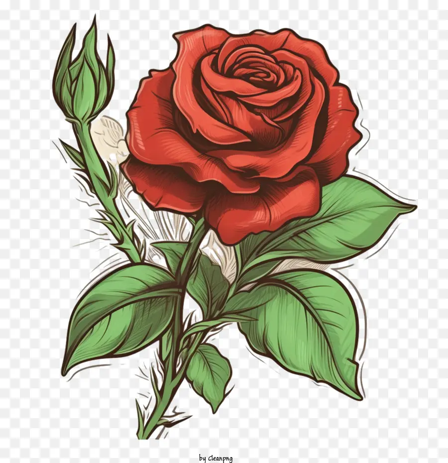 красная роза，Винтажная красная роза PNG