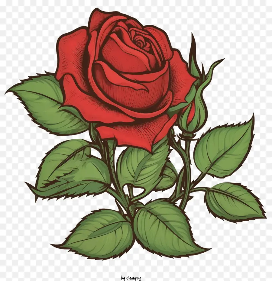 красная роза，Винтажная красная роза PNG