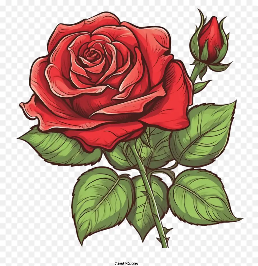 старинные розы，красная роза PNG