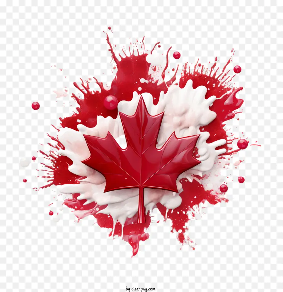 кленовый лист，День Канады PNG