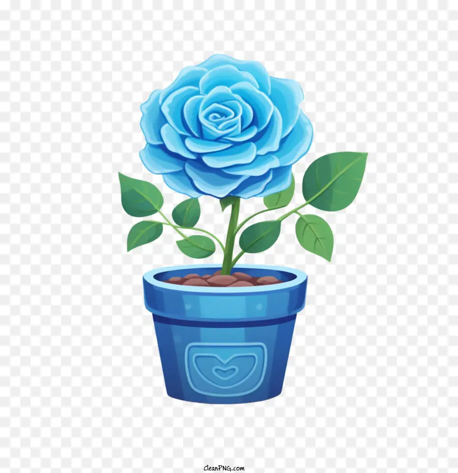 голубая роза，Роза PNG
