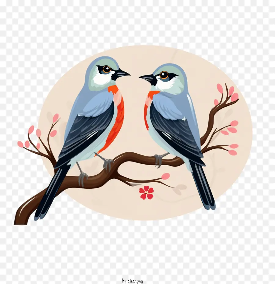 любовь птицы，Birds PNG