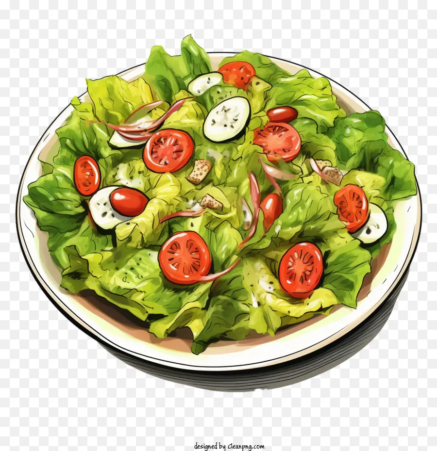 Салат，Lettuce PNG