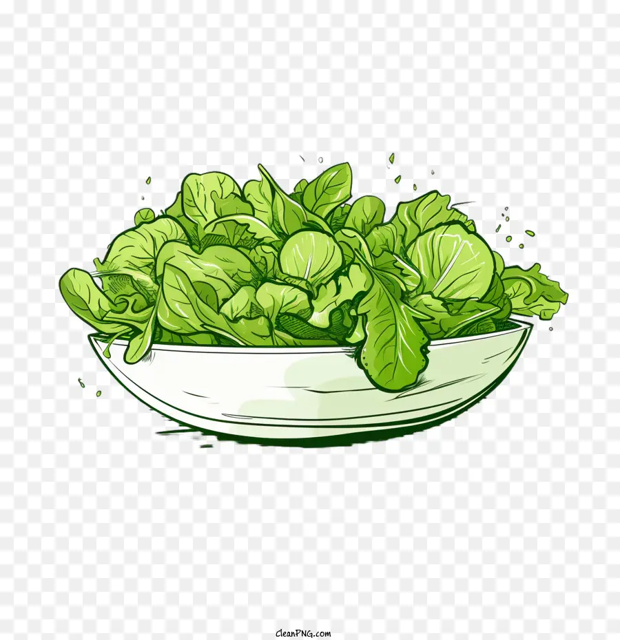 Зеленый салат，Ручная нарисованная салат PNG
