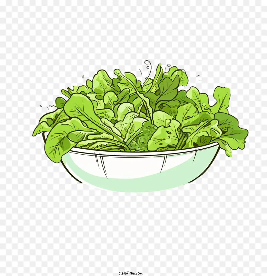 Зеленый салат，Ручная нарисованная салат PNG