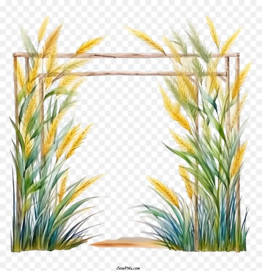 Sukkot Frame，Суккот PNG