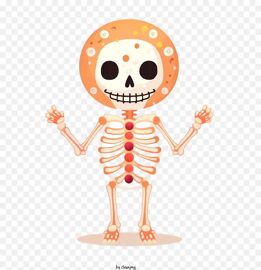 скелет Хэллоуин，Скелет PNG
