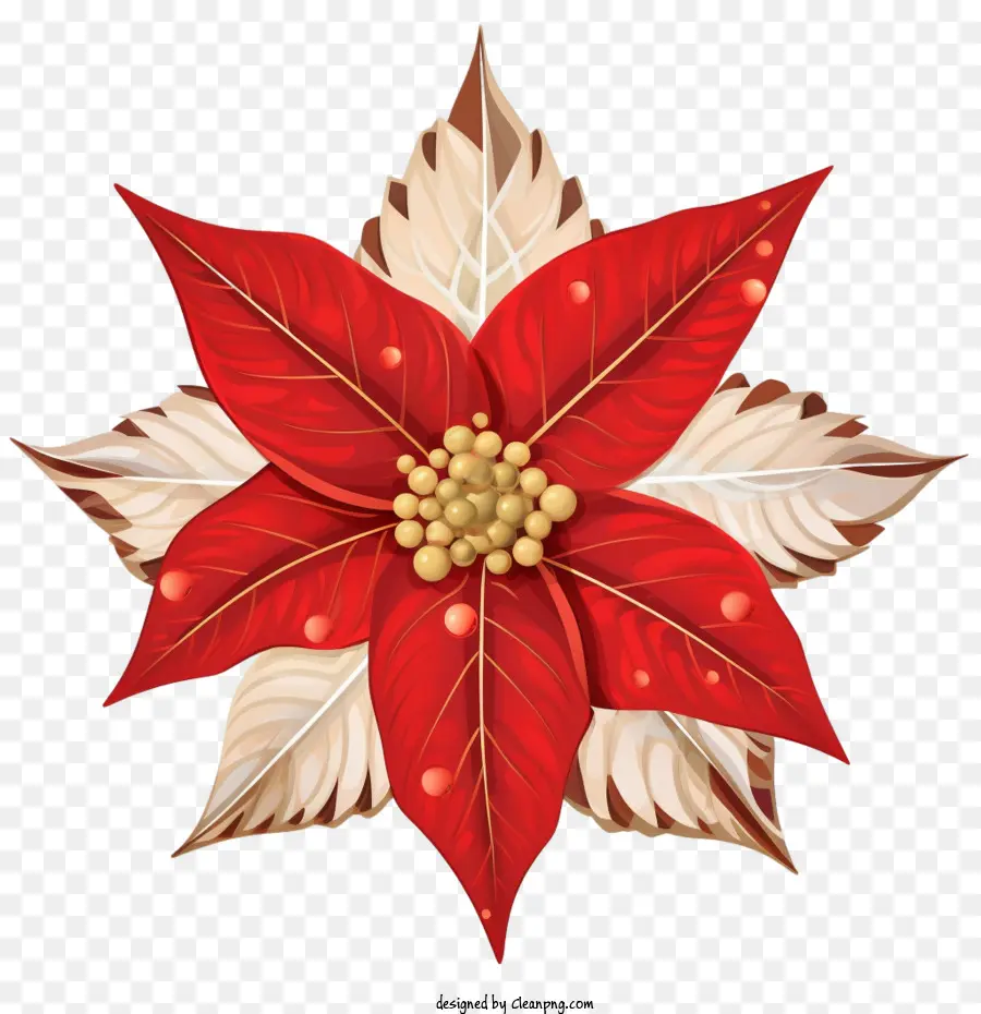 Пуансеттия，Christmas Decoration PNG