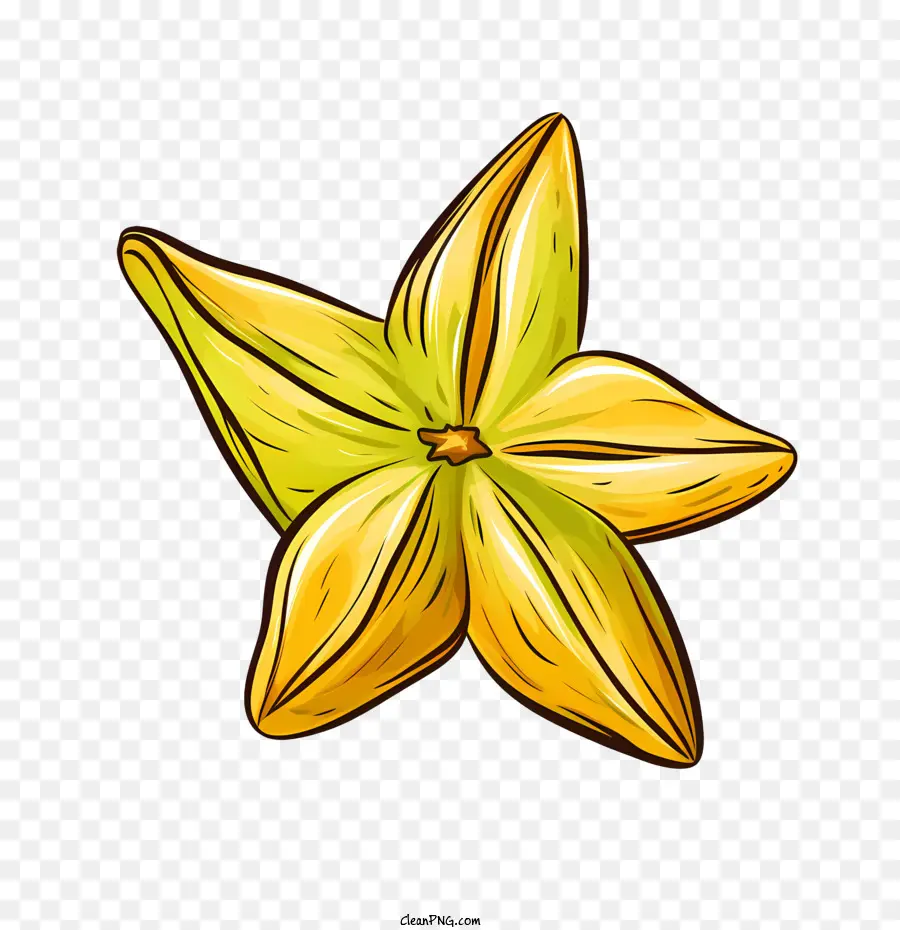 карамбола，цветок PNG