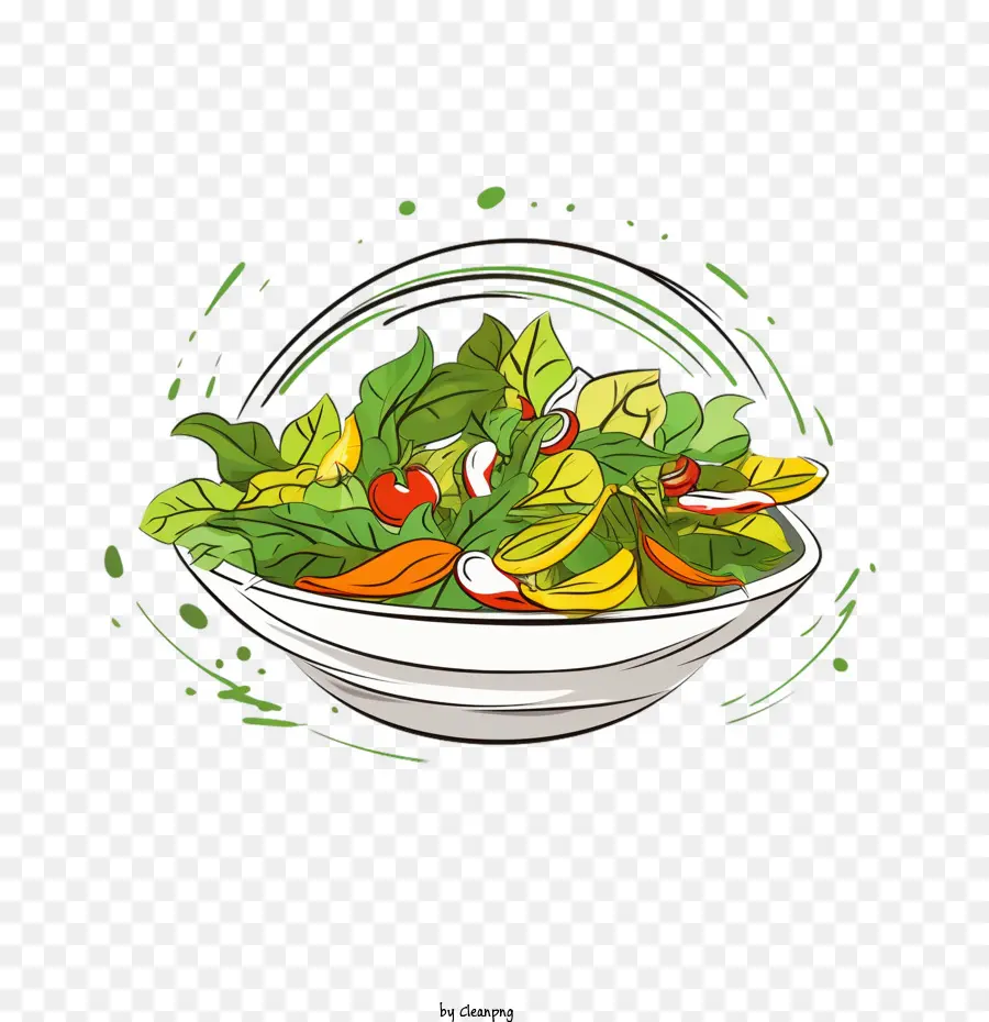 наброски салат，овощной салат PNG