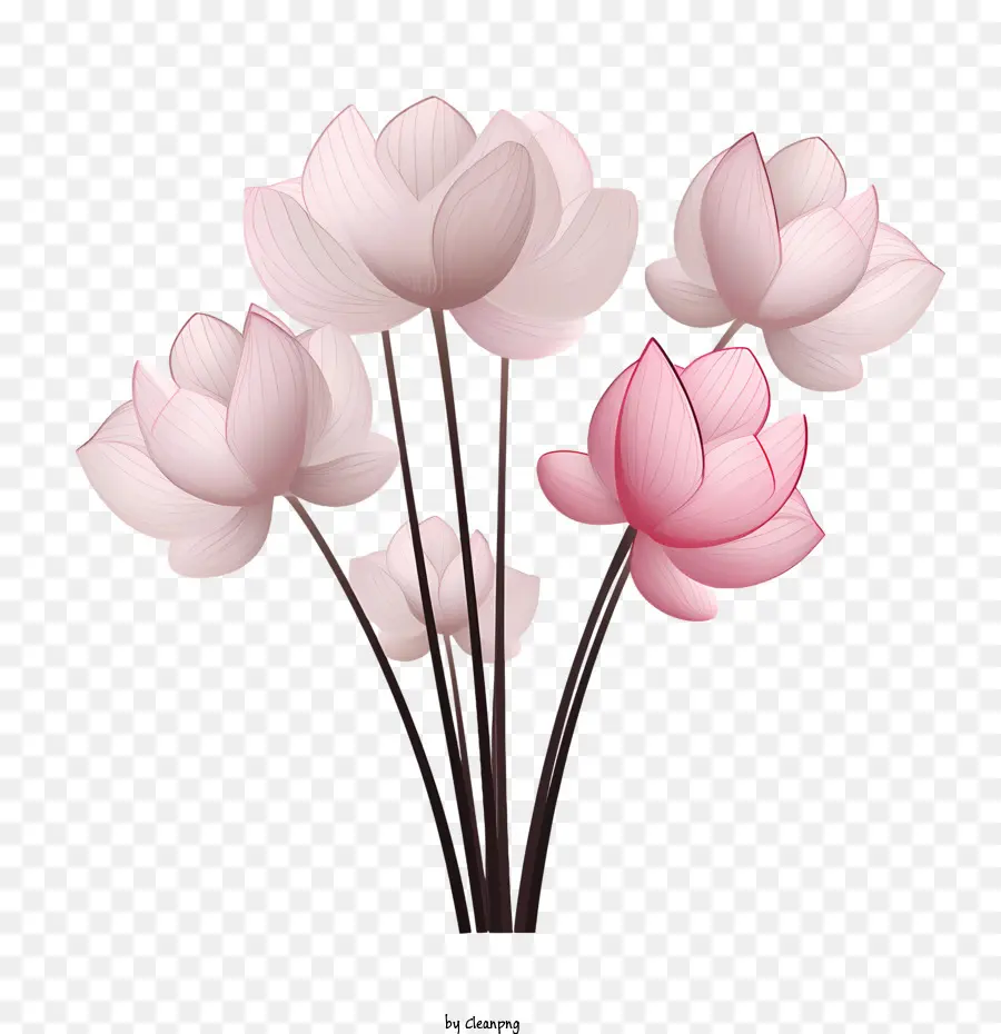 Цветок Лотоса，Розовые цветы PNG