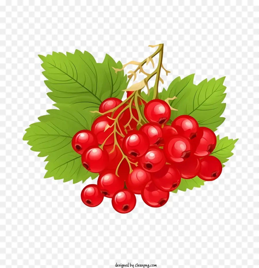 Cranberries，малина PNG