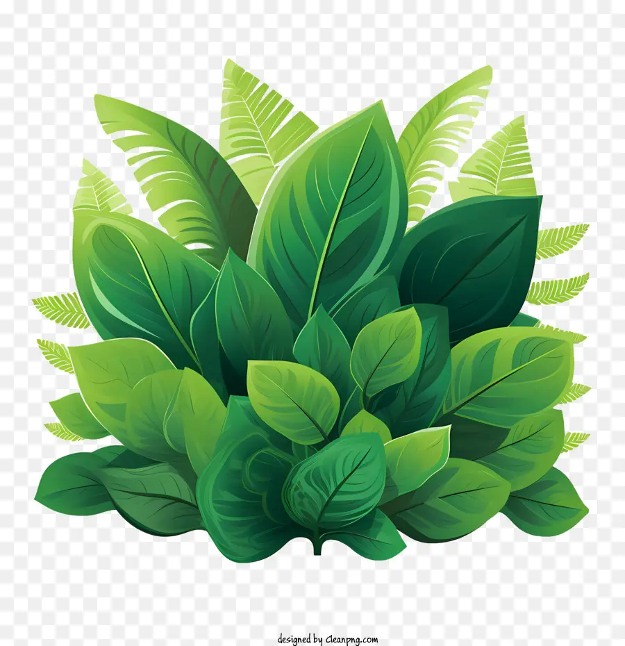 зеленое растение，зеленый PNG