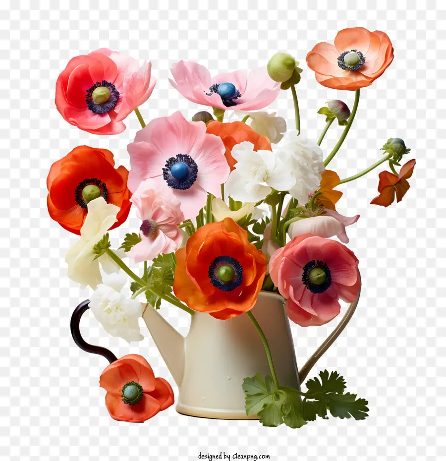 анемона цветок，цветок PNG