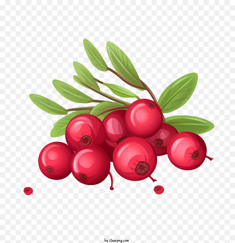 Cranberries，Спелые PNG